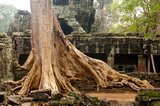 Banteay Kdei is located southeast of Ta Prohm and east of Angkor Thom. It was built in the late 12th to early 13th centuries CE during the reign of Jayavarman VII, it is a Buddhist temple in the Bayon style, similar in plan to Ta Prohm and Preah Khan, but less complex and smaller.